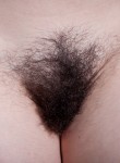 atk hairy