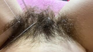 hairy bush measurement closeup